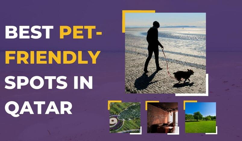 Best Pet-Friendly Spots in Qatar 